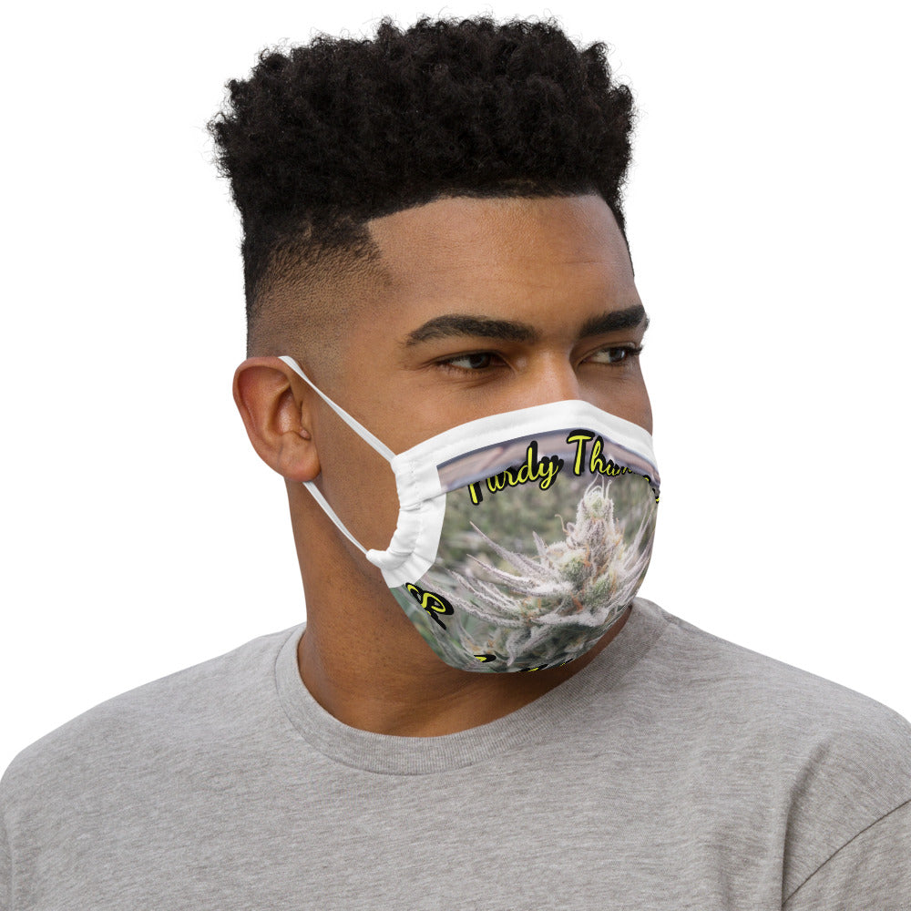 Premium face mask